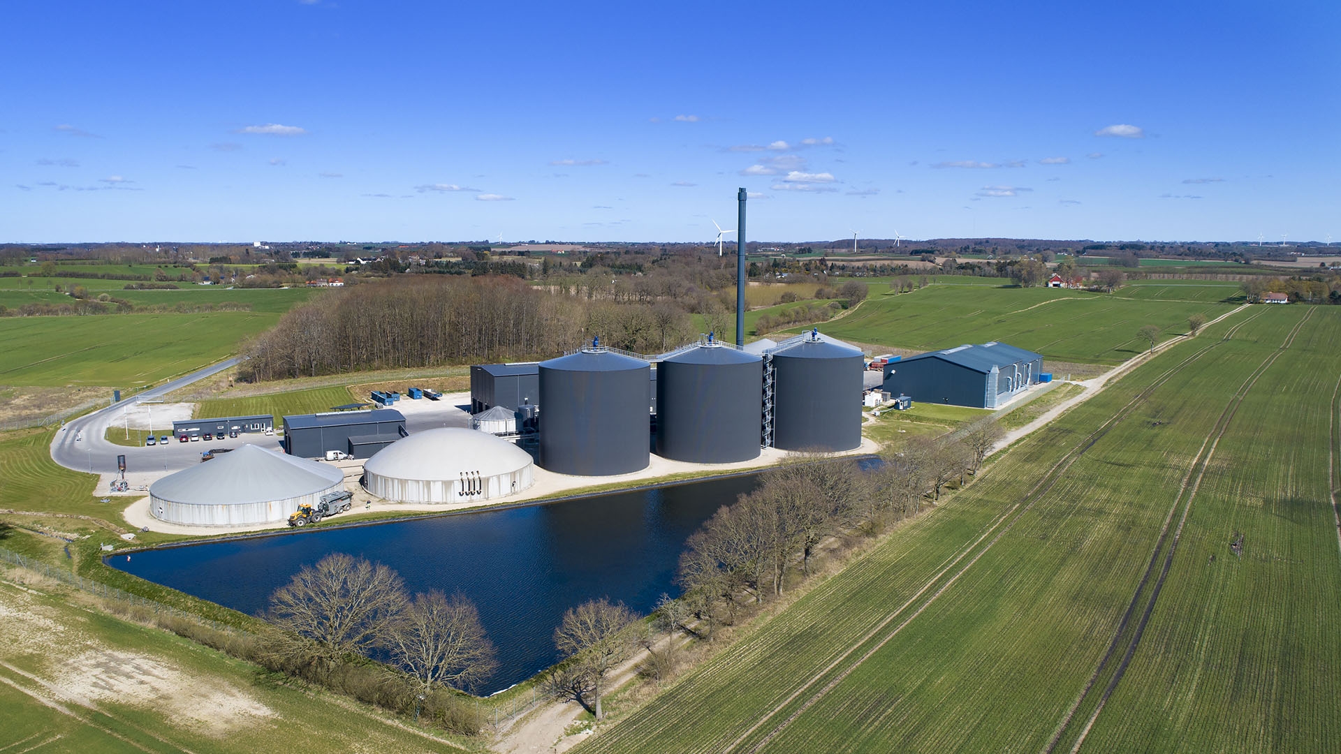 Rafflesia Arnoldi drivende Terminologi Skal den energitunge industri flytte til udlandet? - Biogas Danmark